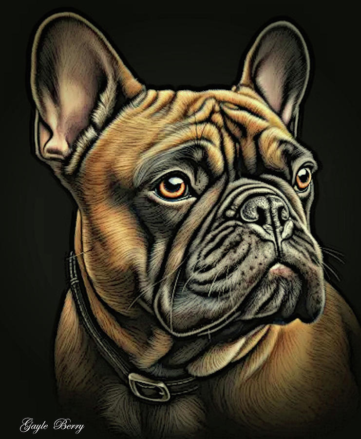 French Bulldog Mixed Media - French Bulldog #1 by Gayle Berry