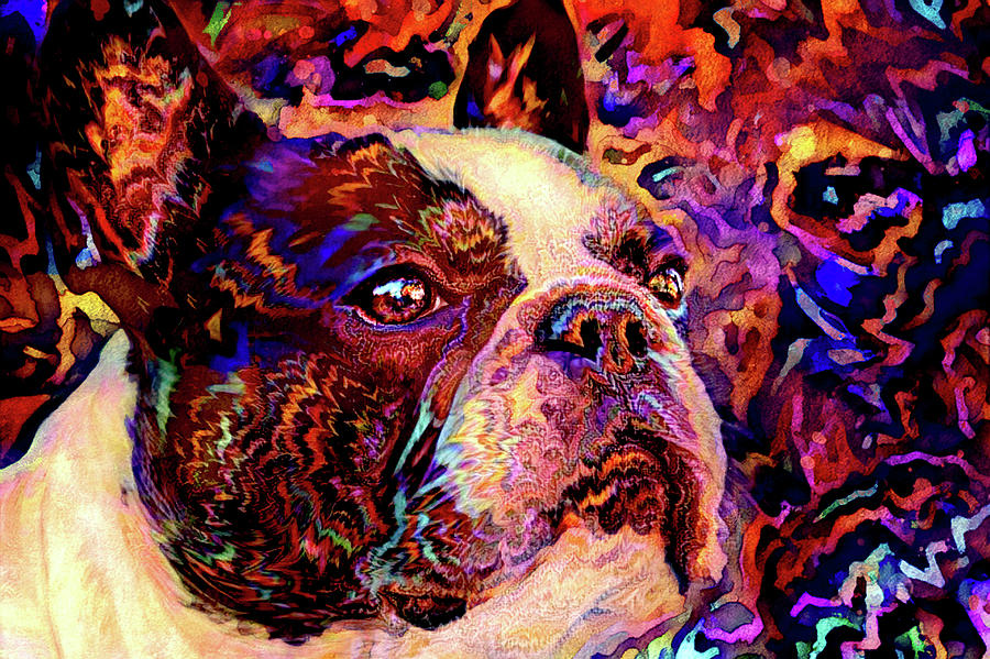 French Bulldog Dreaming the Dream Digital Art by Peggy Collins