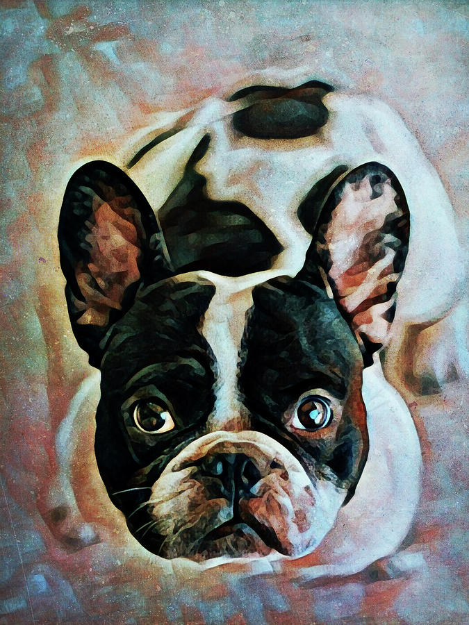 Animal Painting - French Bulldog Fixation by Ashley Aldridge
