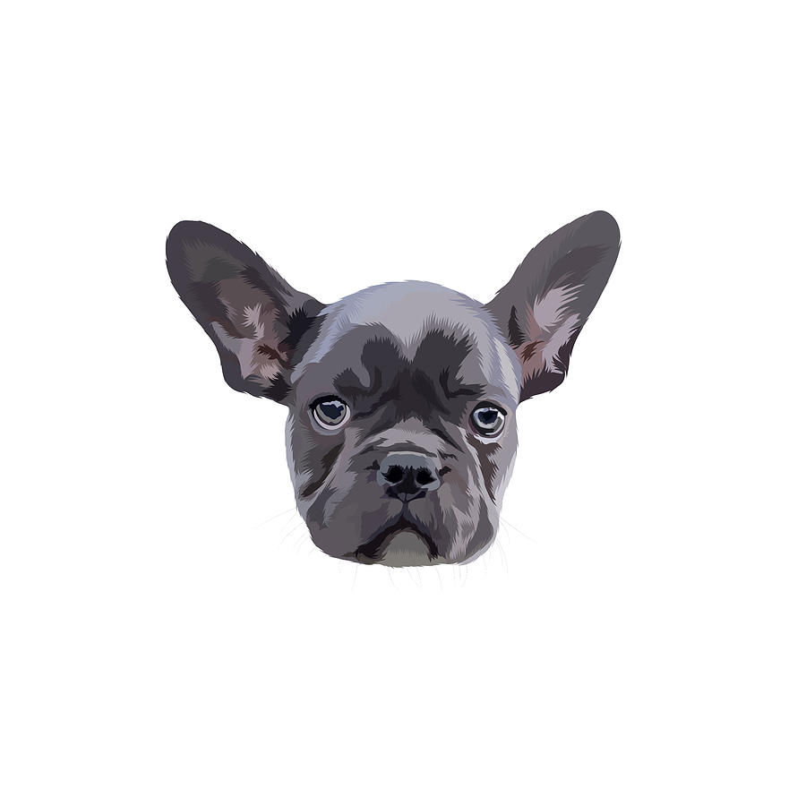 French Bulldog Illustration Art Digital Art by The Bad Kitty Co - Pixels