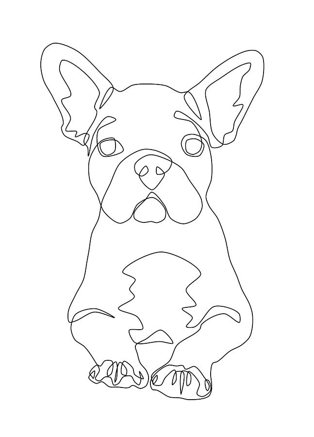 French Bulldog Line Art Drawing by Jindra Noewi