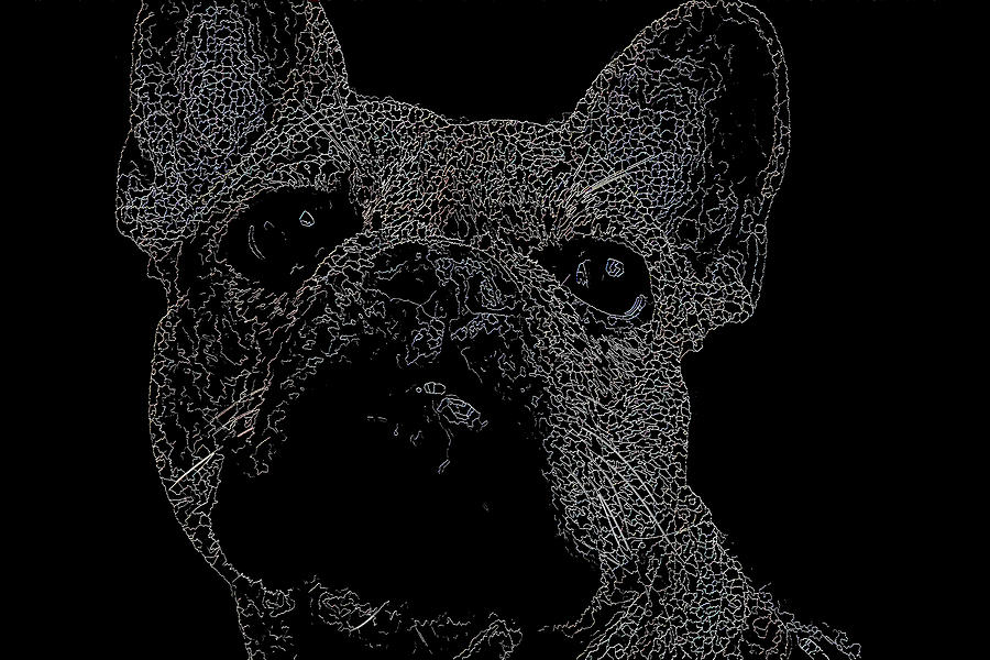 French Bulldog Mixed Media by Vintage Collectables