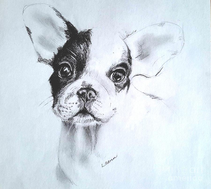 French Bulldog Puppy Drawing by Leann Horrocks Fine Art America