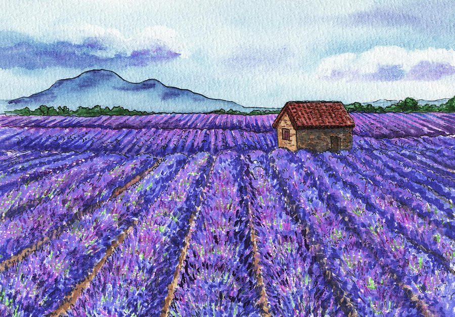 French Countryside Lavender Fields Of Provence Painting by Irina Sztukowski
