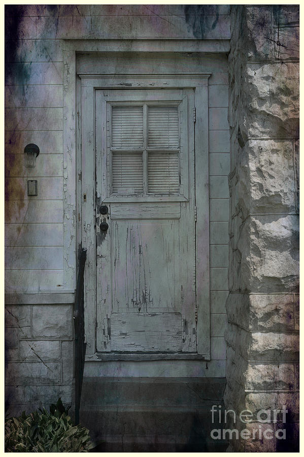 Farm Photograph - French Door Grunge by Luther Fine Art