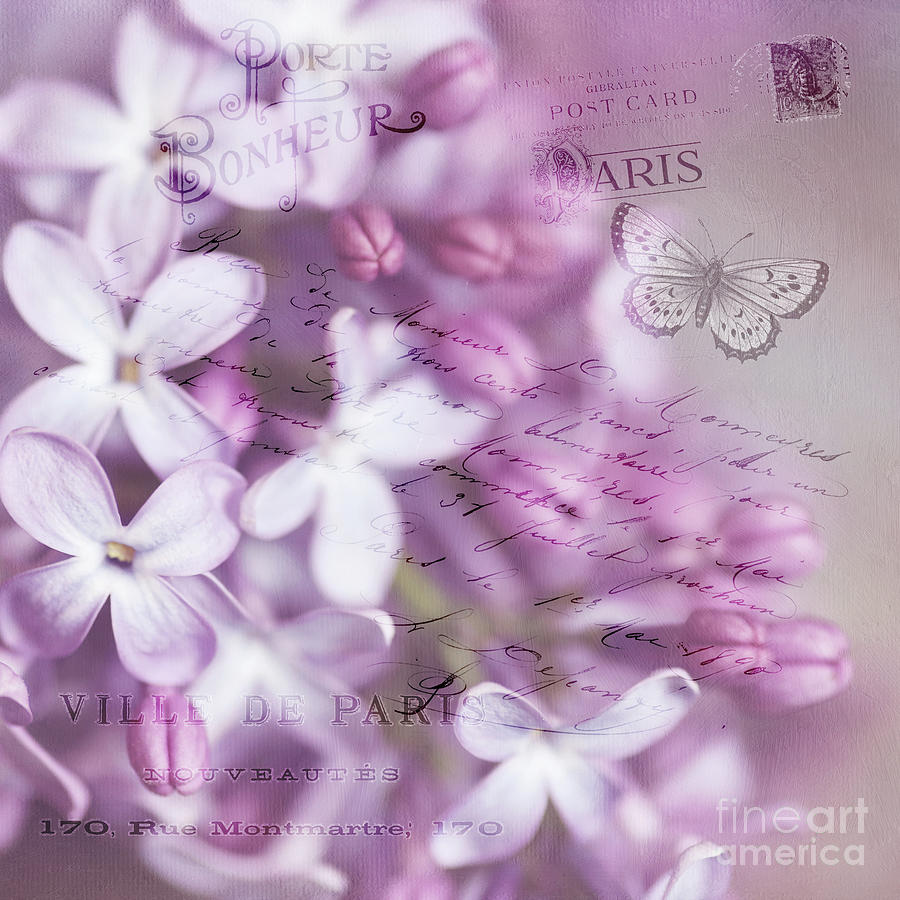 French Lilacs Photograph
