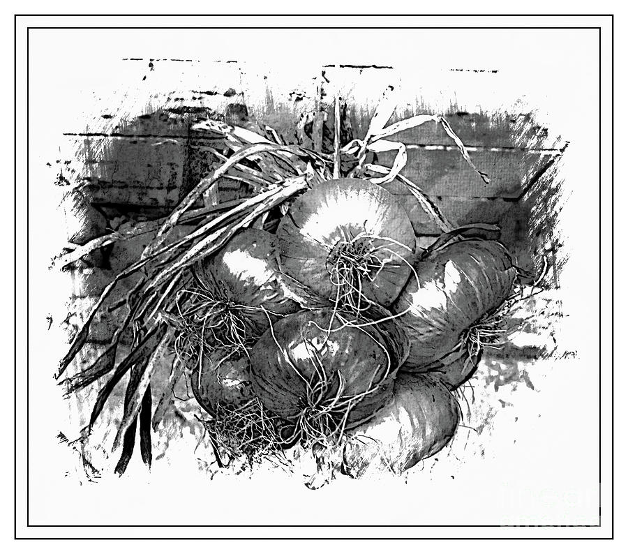 French Onions  Photograph by Luther Fine Art