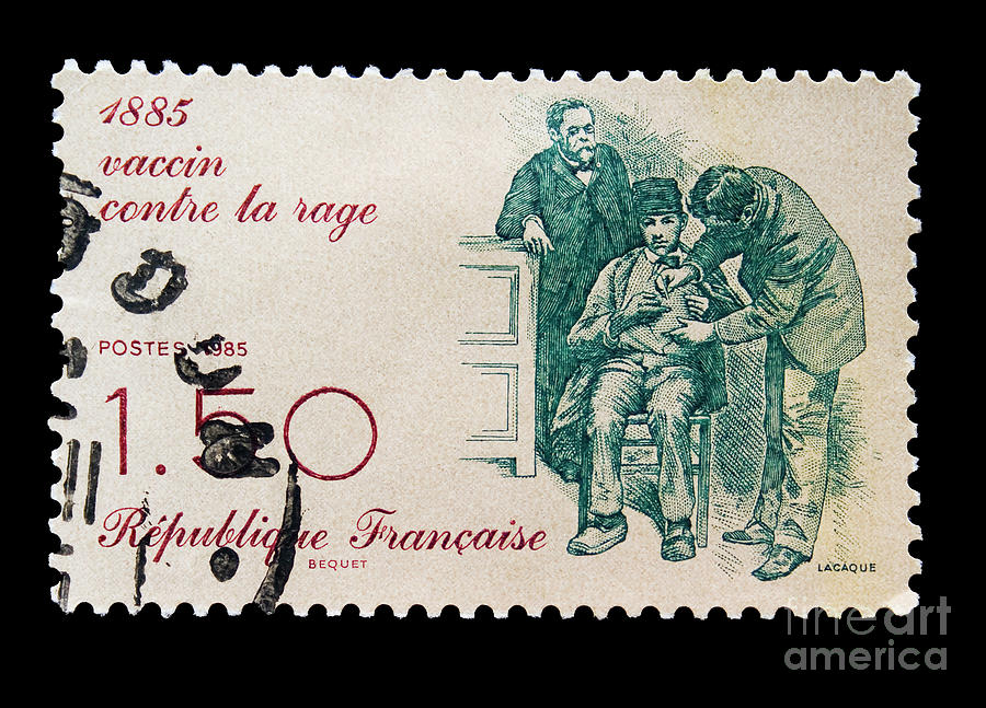 French Postage stamp of 1985 to celebrate discovery rabies vaccine Photograph by Patricia Hofmeester