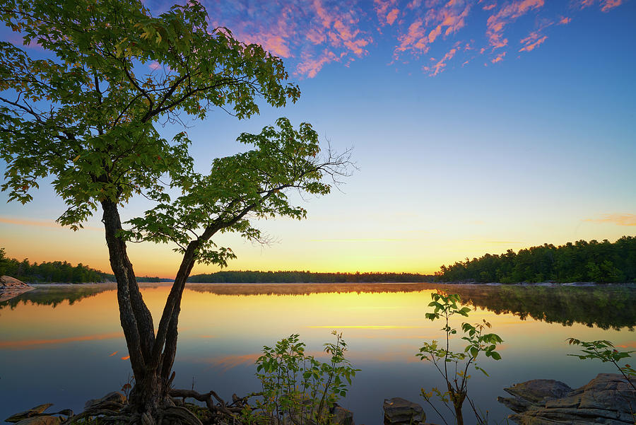 French River Sunrise Photograph by Henry w Liu