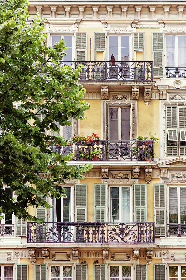 French Riviera Windows Photograph by Melanie Alexandra Price