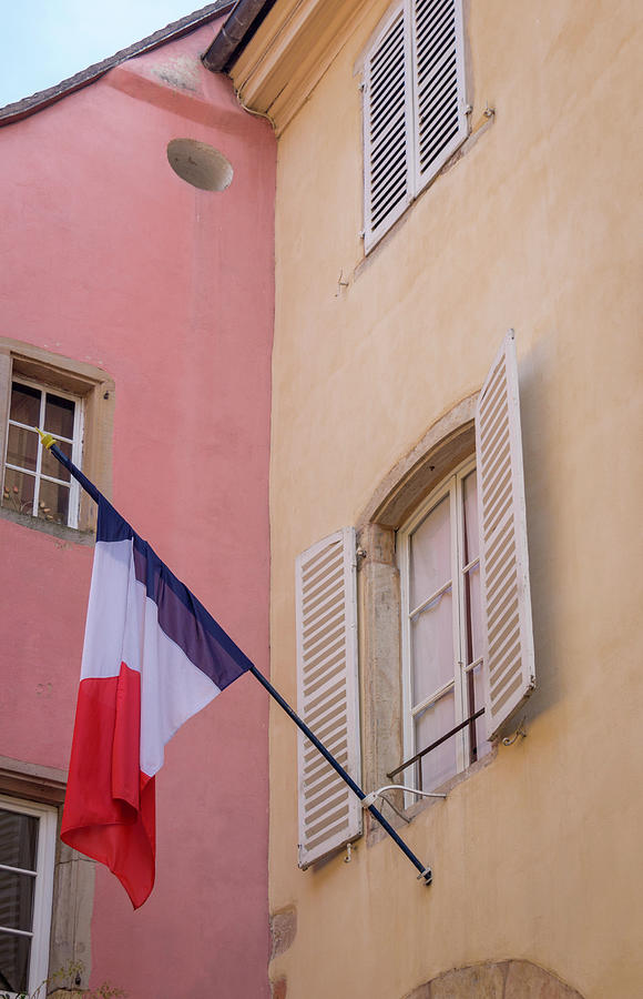 French Tricolor Photograph