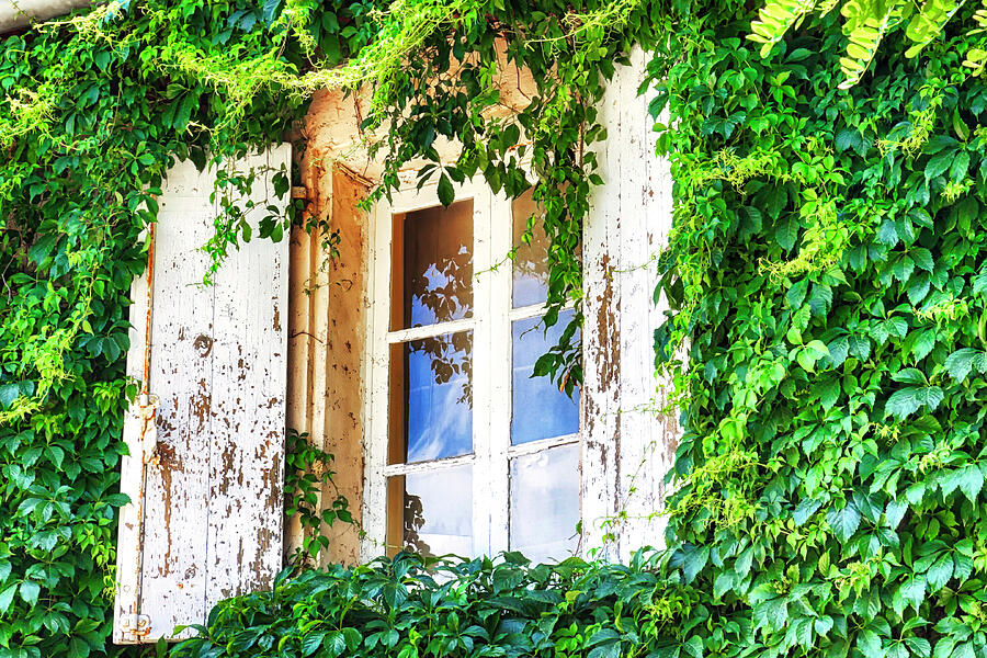 French window in Provence Photograph by Tatiana Travelways