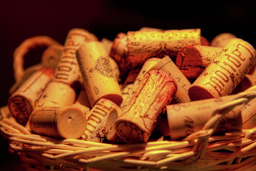 French wine bottle corks Photograph by Tatiana Travelways