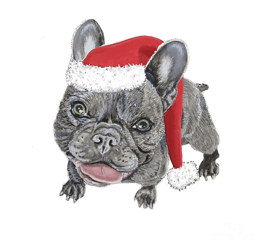 Frenchie Christmas Painting by Holly Bartlett Brannan