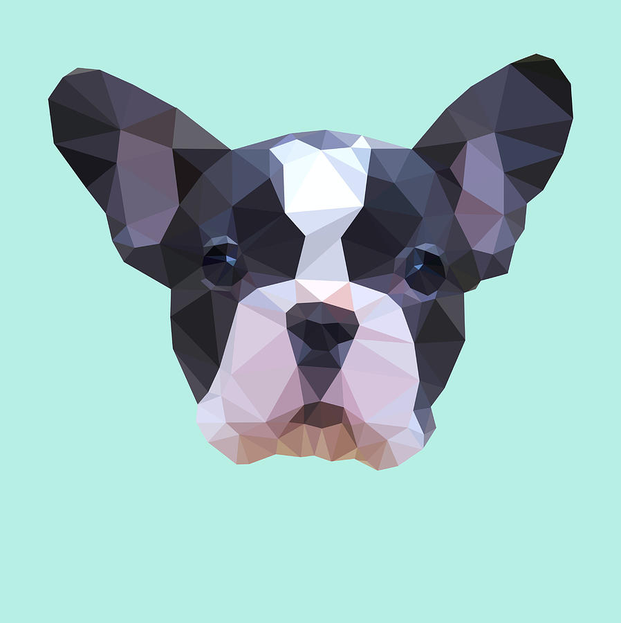 Frenchie Low Poly design Digital Art by Jindra Noewi