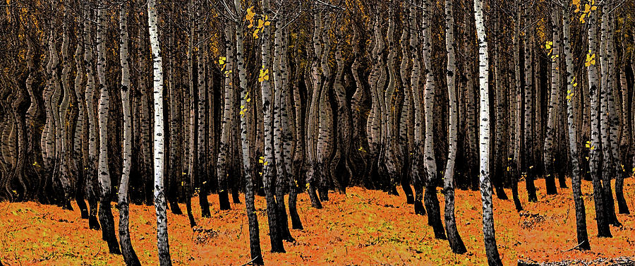 Fresco Forest Digital Art