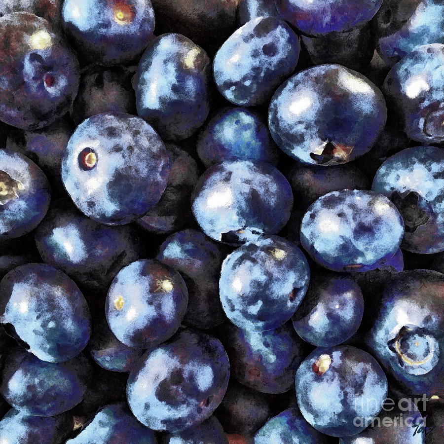 Fresh Blue Blueberries Photograph by Yorgos Daskalakis