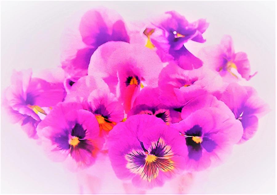 Fresh Bouquet Of Pansies Photograph By Elizabeth Pennington - Fine Art 