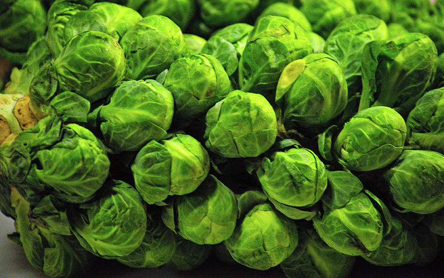 Fresh Brussel Sprouts Photograph by Tikvahs Hope