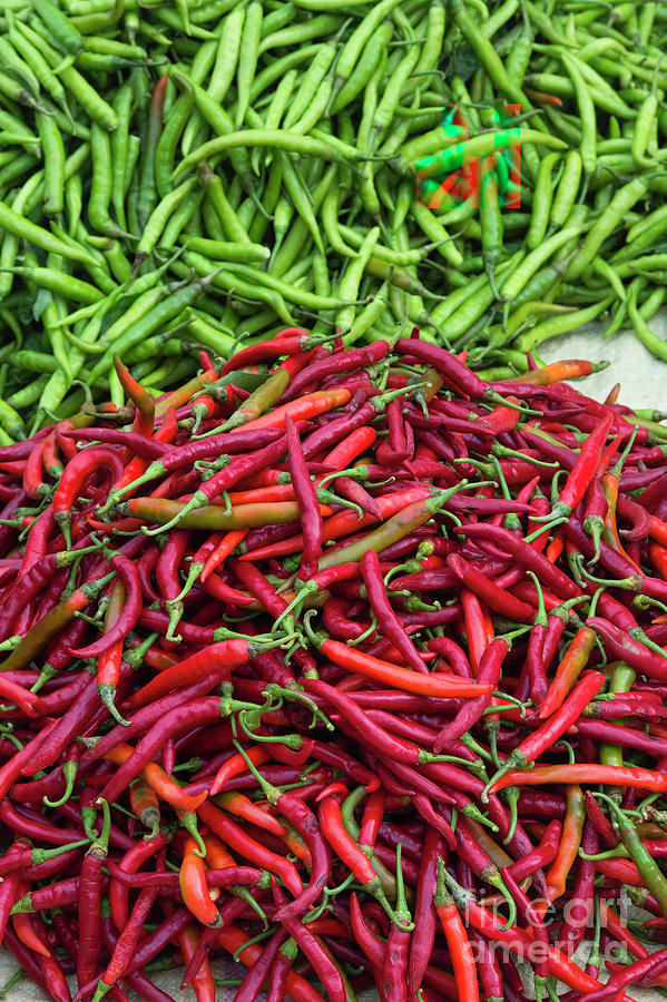 Fresh Chilli Peppers at Market Photograph by Tim Gainey