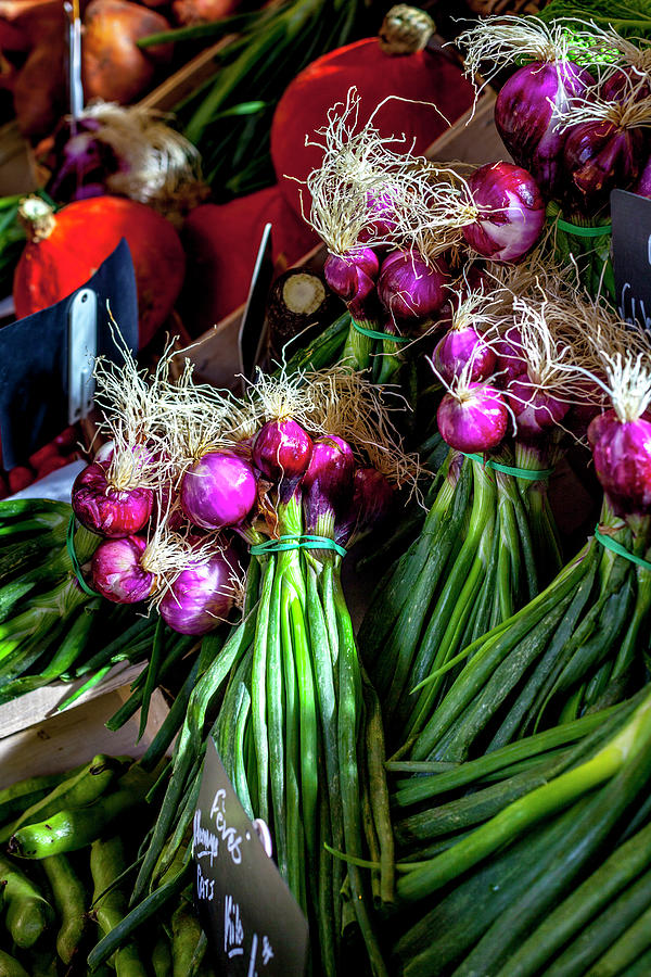 Fresh Color at a Market Photograph by W Chris Fooshee