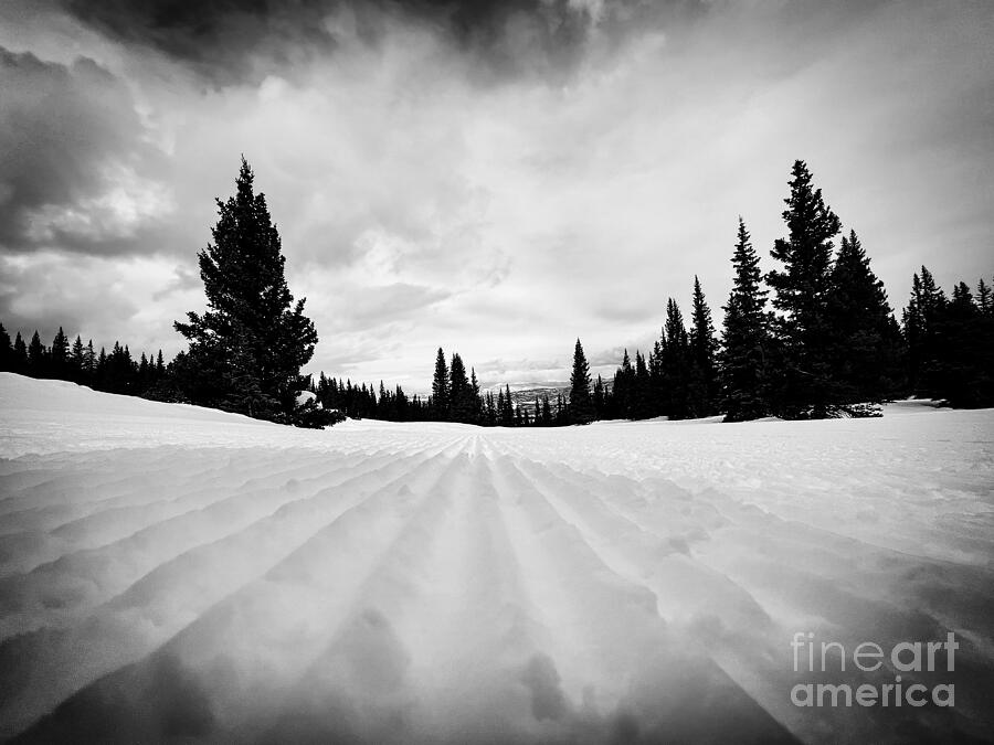 Winter Photograph - Fresh Corduroy by Saving Memories By Making Memories