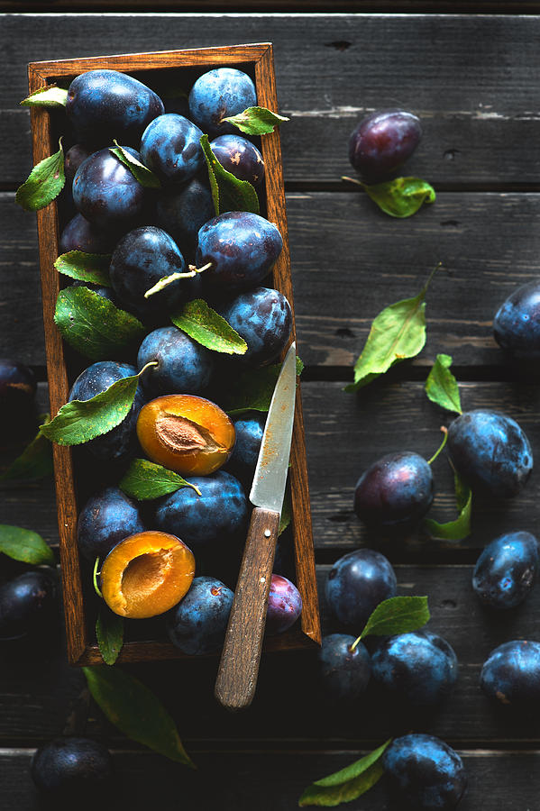 Fresh Damson Plums Photograph by A.Y. Photography