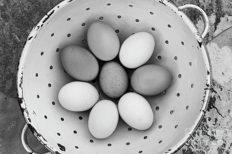 Egg Photograph - Fresh Eggs Monochrome by Tim Gainey