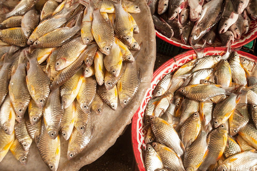 Fresh fish in rural market Photograph by Warmlight