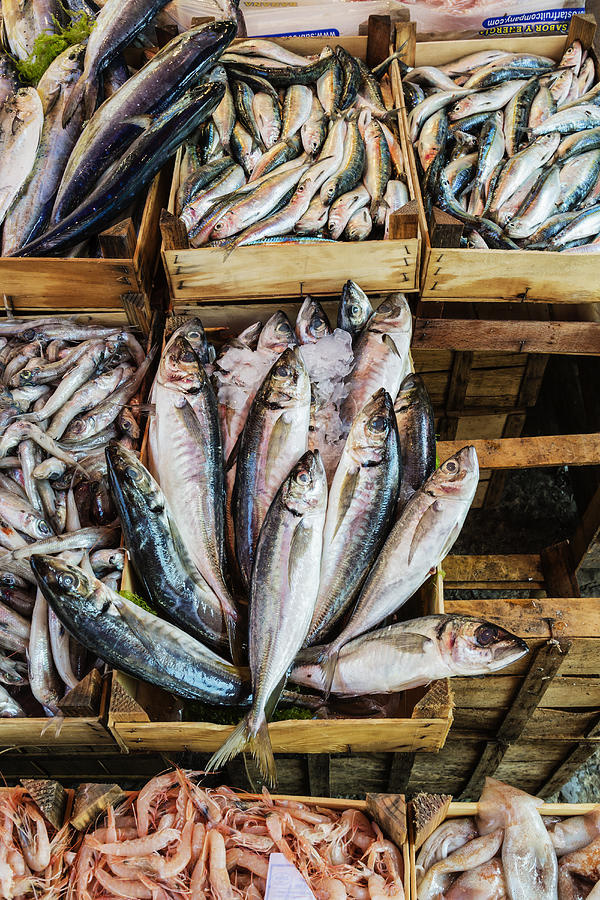 Fresh fish on display at market stall, Palermo, Sicily, Italy Photograph by Jeremy Woodhouse
