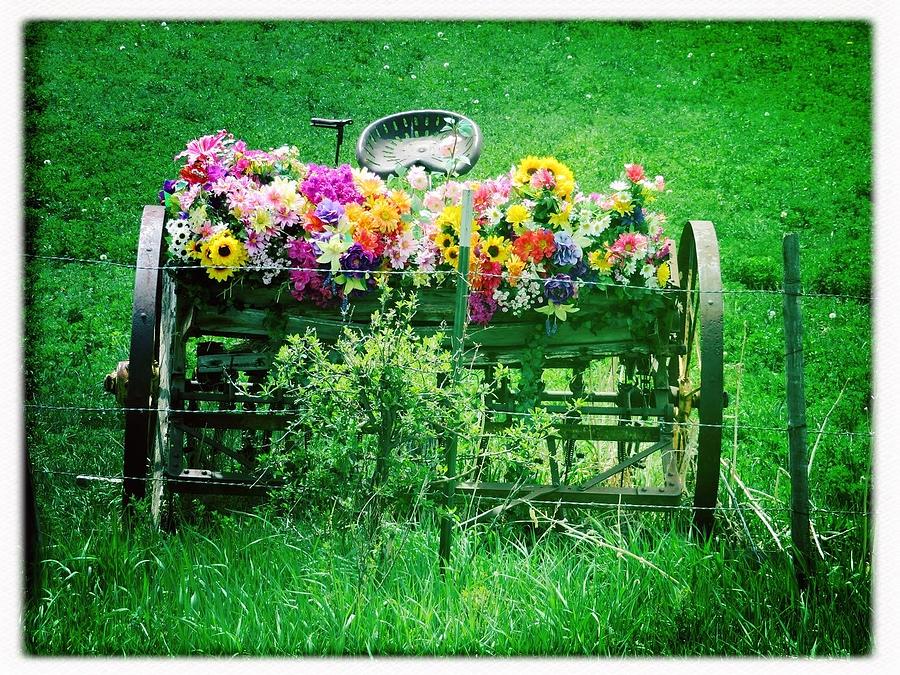 Fresh Flowers Photograph by Anne Thurston