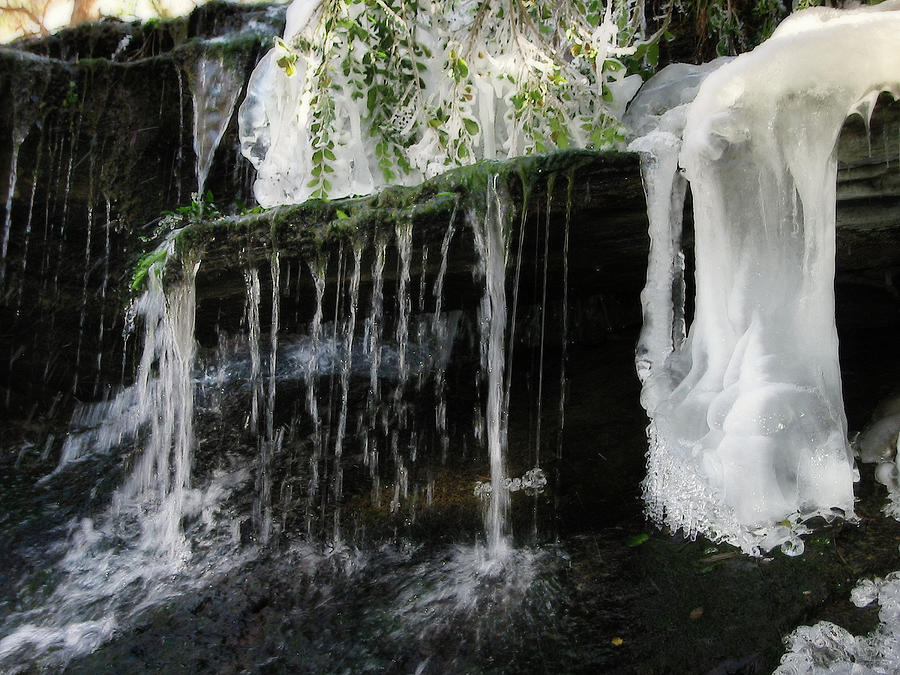 Fresh Frozen - greenery encased in ice at Cookeville TN City Lake Waterfall Photograph by Peter Herman