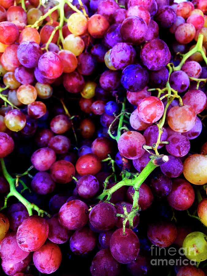 Fresh Grapes Photograph by Doc Braham