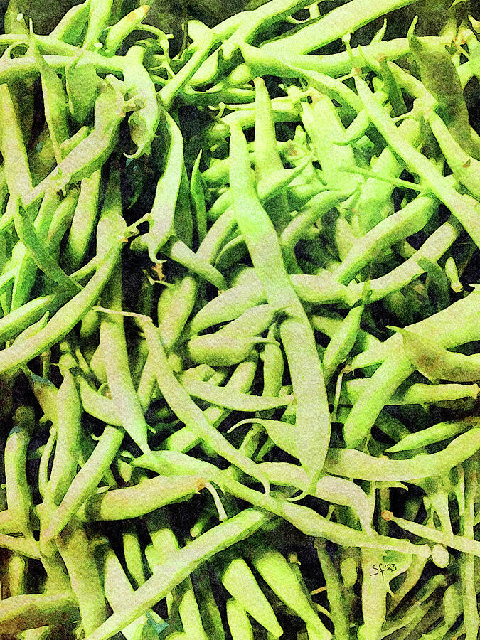 Fresh Green Beans  Mixed Media by Shelli Fitzpatrick