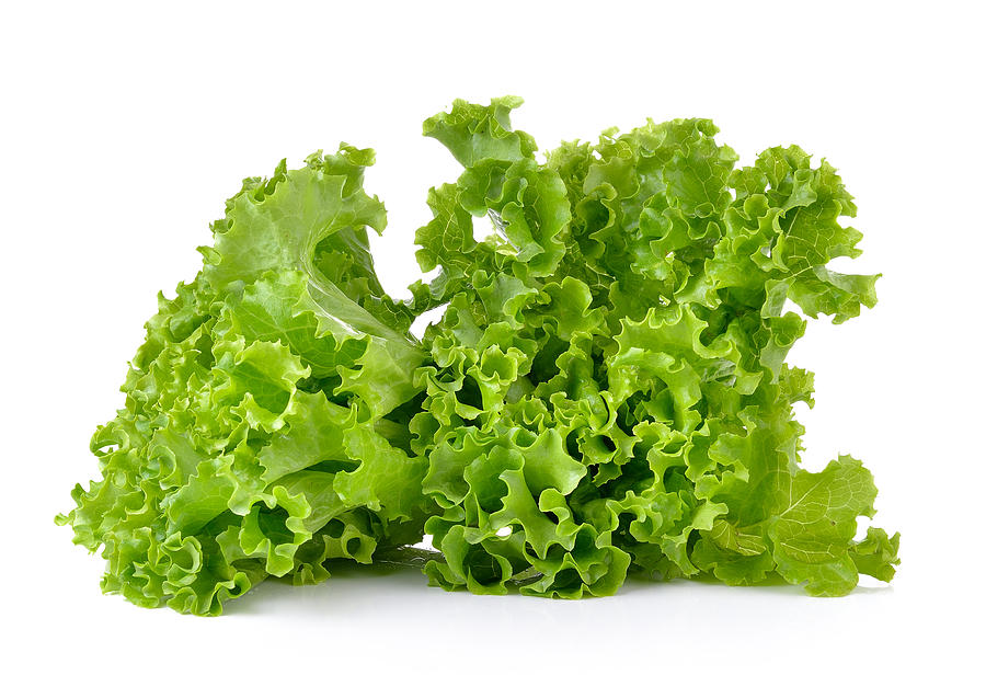 Fresh green lettuce isolated on a white background Photograph by Sommail