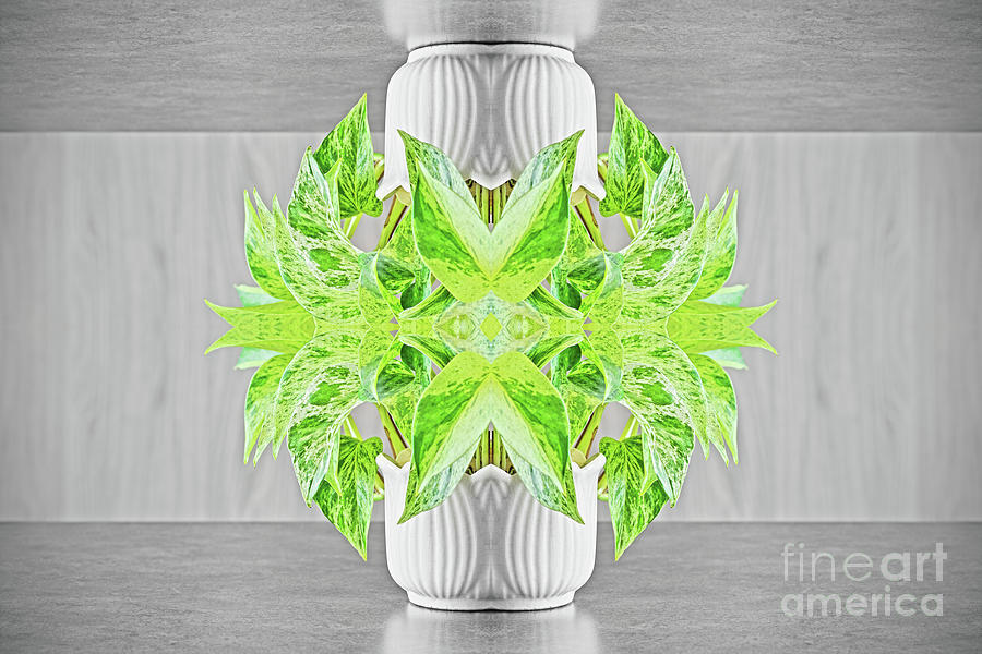 Fresh green plant surreal shaped symmetrical kaleidoscope Photograph by Gregory DUBUS