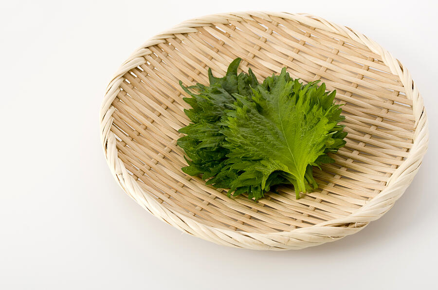 Fresh Green Shiso (perilla)  Or Oba Leaf On A Bamboo Colander On White Background Photograph by Karimitsu
