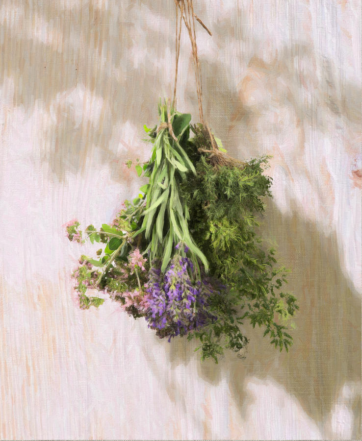 Fresh Herbs Painting by Robert Papp