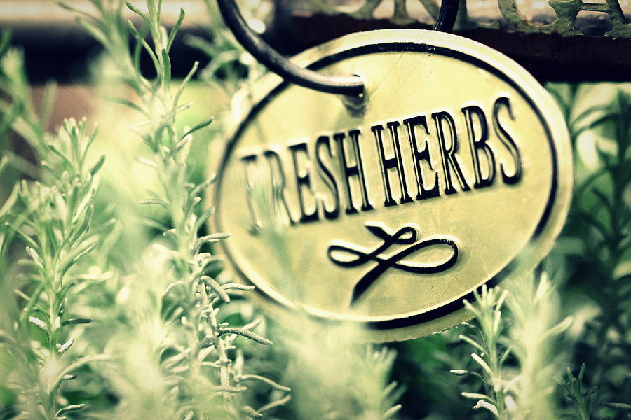 Fresh Herbs Sign Photograph by Joseph Skompski