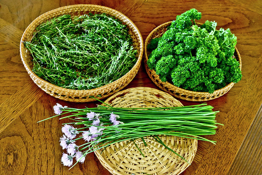 Fresh Homegrown Herbs Photograph