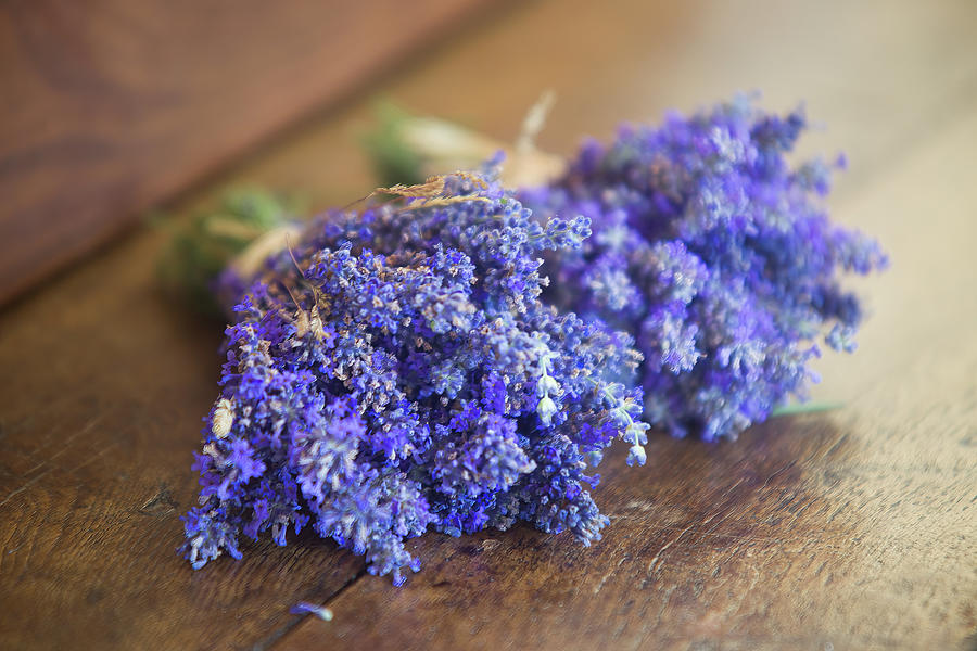Fresh Lavandula angustifolia on a wood table Photograph by Jean-Luc Farges