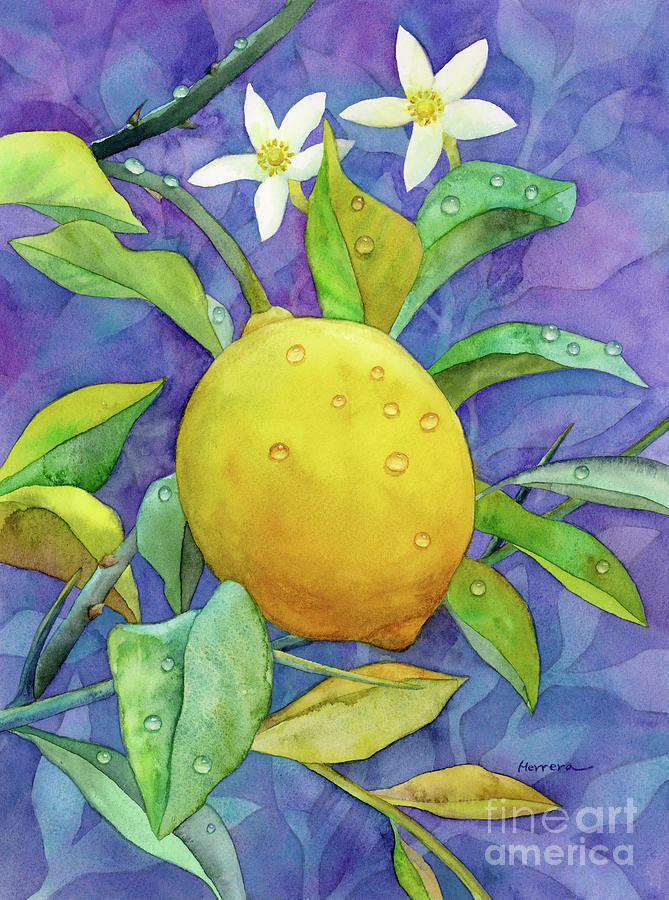 Fresh Lemon Painting