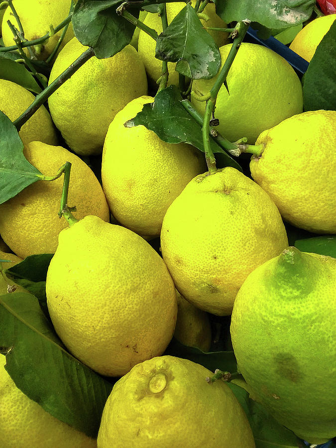 Fresh Lemons Photograph by Marian Tagliarino