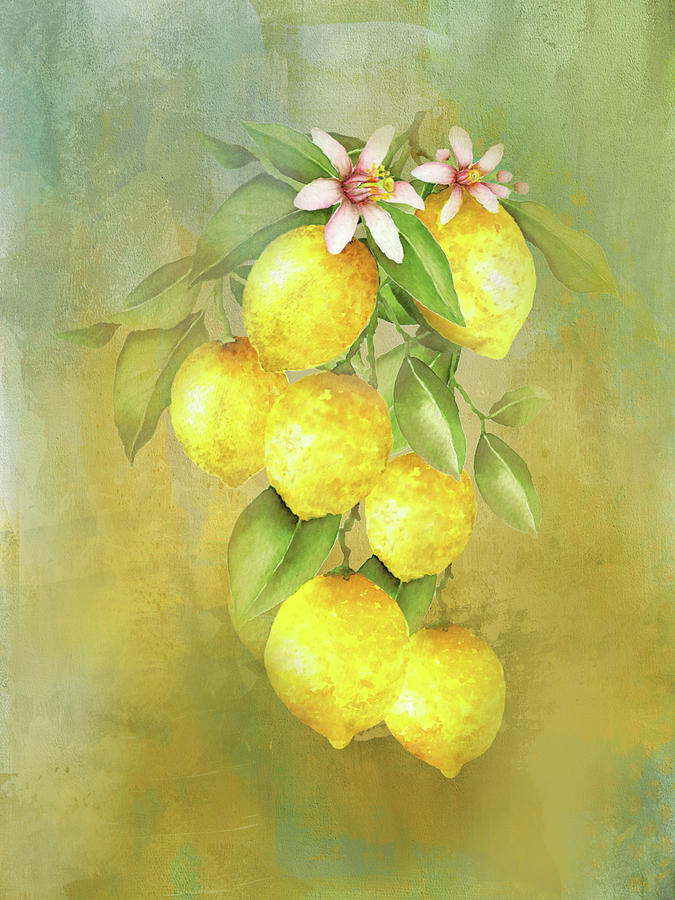 Fresh Lemons On The Vine Mixed Media by HH Photography of Florida