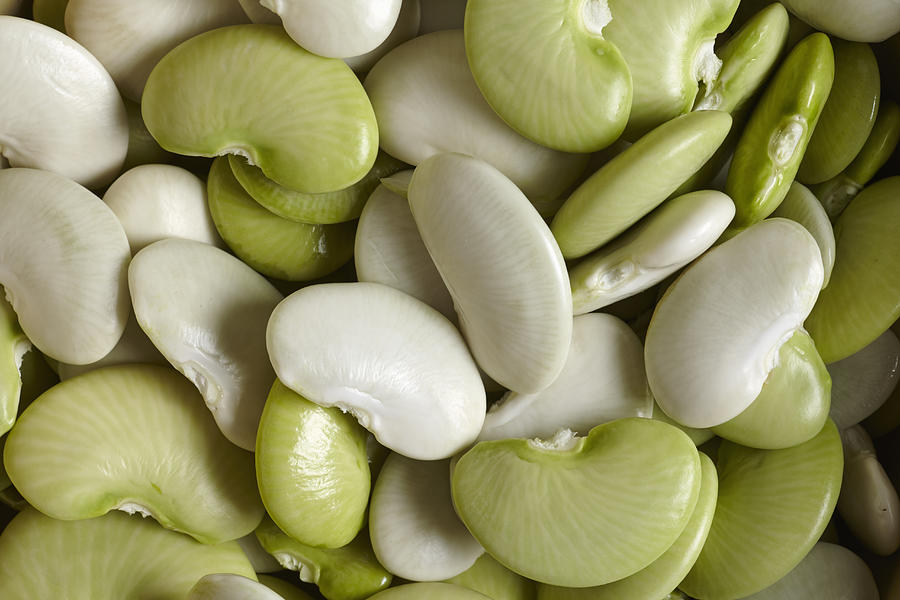 Fresh Lima Beans Photograph by Brian Yarvin