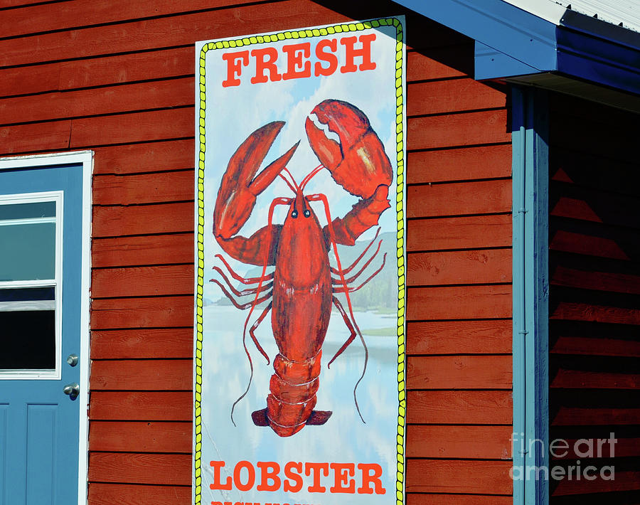 Fresh Lobster Shack Photograph by Elaine Manley
