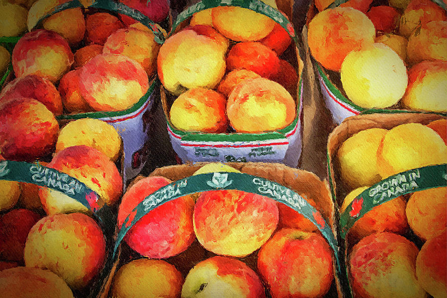Fresh local peaches at the market, in Ontario, Canada Photograph by Tatiana Travelways