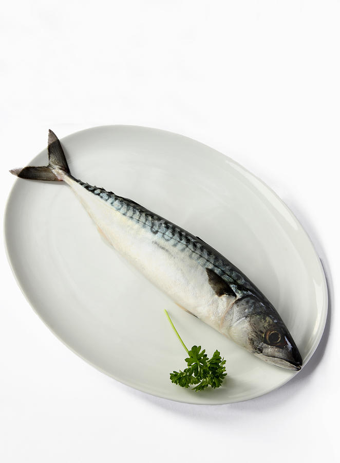 Fresh mackerel on plate with sprig of parsley Photograph by Rosemary Calvert