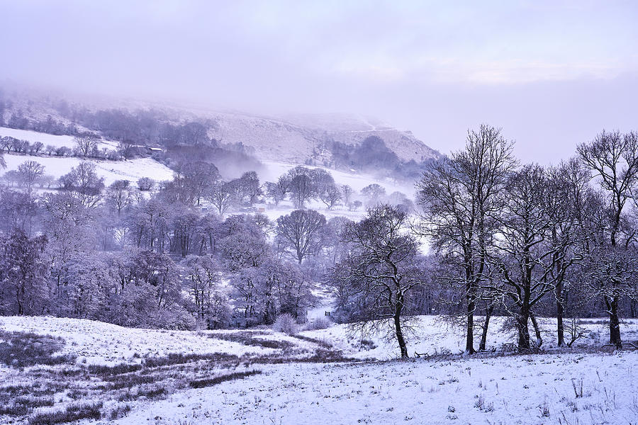 Fresh Morning Snow Photograph by Richard Downs