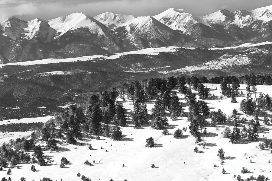 Fresh Mountain Snow Photograph